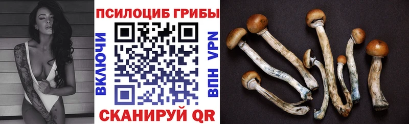Купить  Брянск  Псилоцибиновые грибы MAGIC MUSHROOMS 